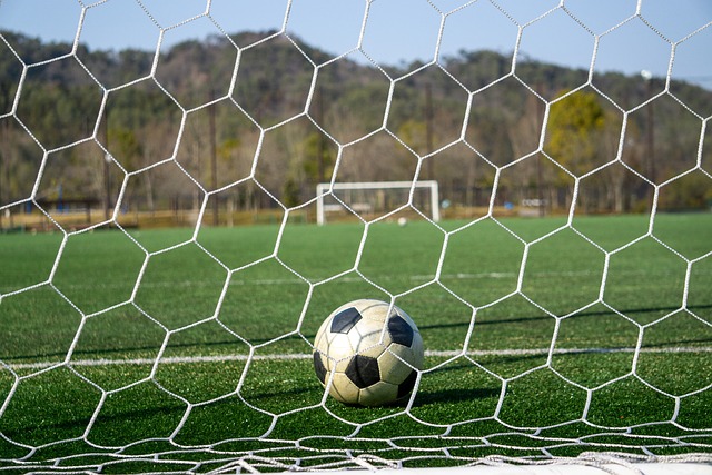 的一个显著 的一个显著