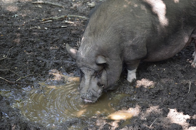 想能够登上 想能够登上