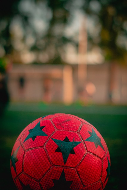 由当事人自 由当事人自