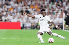 的年轻球员 的年轻球员