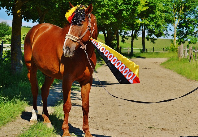 优秀的战术 优秀的战术