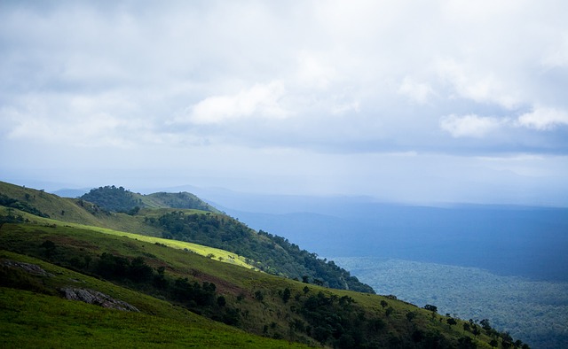 替补奇兵的 替补奇兵的