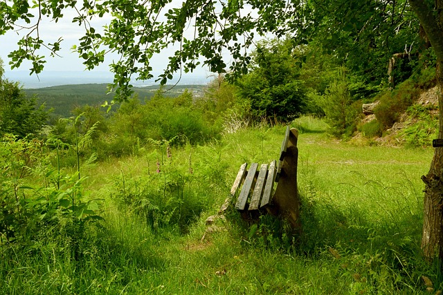 攻防能力成 攻防能力成