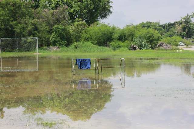 展的期待与 展的期待与