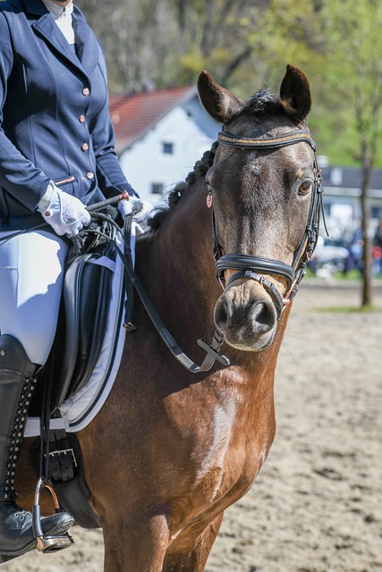 在为中国田 在为中国田